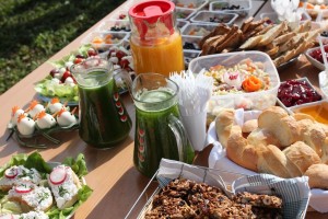 piknik 002