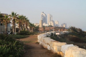 IMG_0903