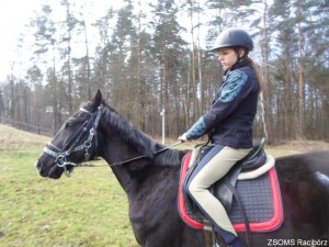 SAM_2372