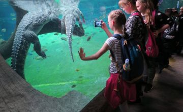 Zajęcia edukacyjne we wrocławskim ZOO