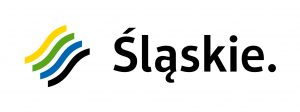 logo slaskie kolor