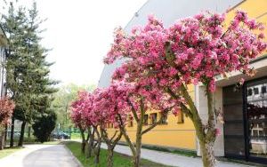 Widok końcowy zewnętrzny (7)