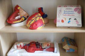 Montessori (4)