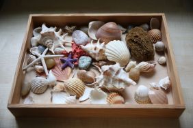 Montessori (5)